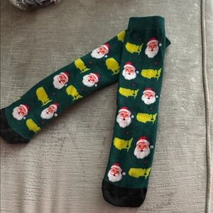 Masters Green Santa and Sleigh Socks